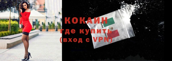 мдпв Вяземский