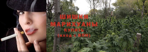 ПСИЛОЦИБИНОВЫЕ ГРИБЫ Вязьма
