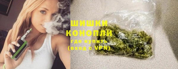 ПСИЛОЦИБИНОВЫЕ ГРИБЫ Вязьма