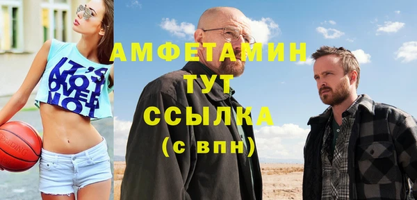 мдпв Вяземский