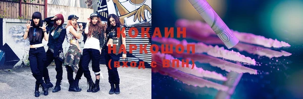 мдпв Вяземский