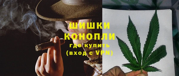 мдпв Вяземский
