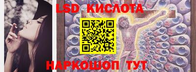 гидропоника Новозыбков