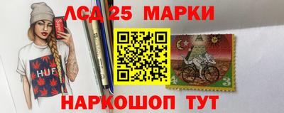 гидропоника Новозыбков