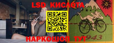 гидропоника Новозыбков