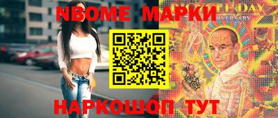 гашик Новокубанск