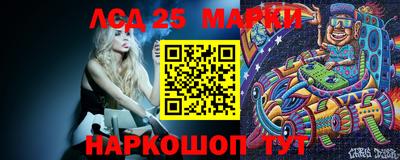 гидропоника Новозыбков