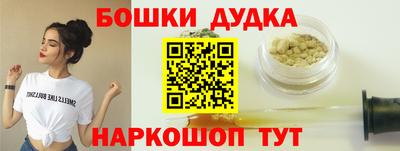 гидропоника Новозыбков