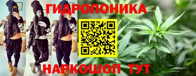 гашик Новокубанск