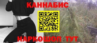 гашик Новокубанск