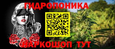 гидропоника Новозыбков