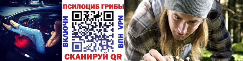 маркетплейс какой сайт  Курск  Галлюциногенные грибы Magic Shrooms  мега зеркало 
