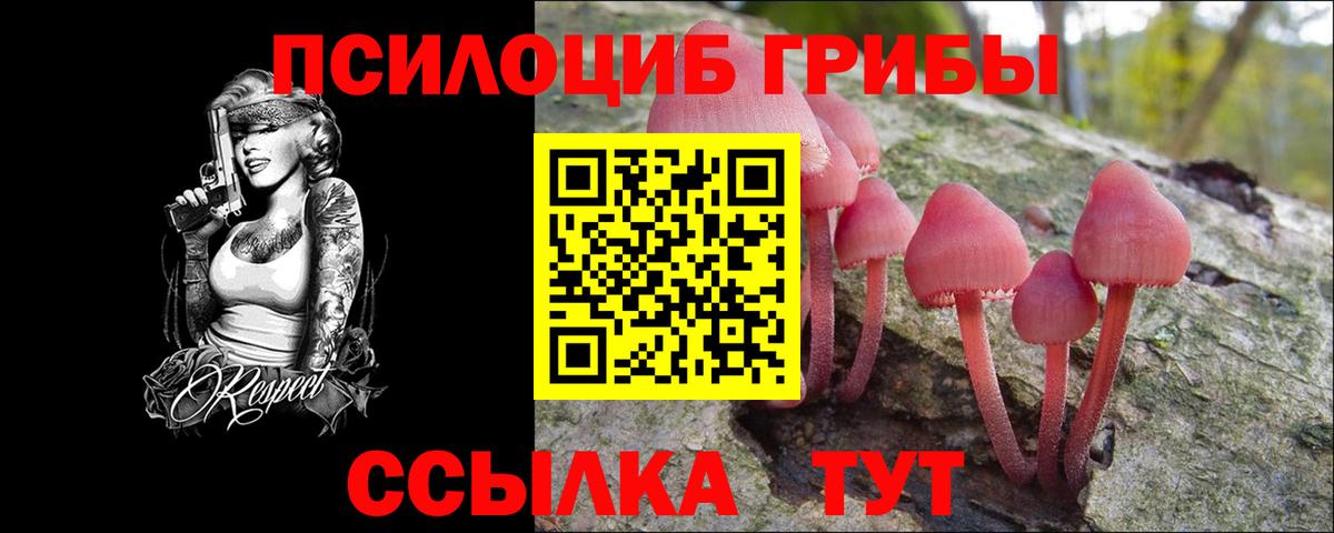 Псилоцибиновые грибы Magic Shrooms Курск