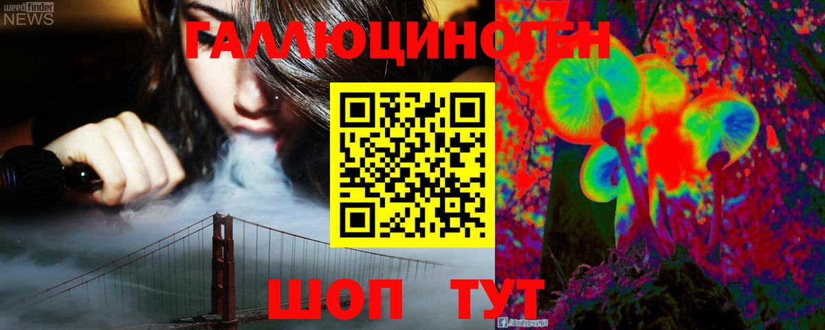 Курск  Галлюциногенные грибы Cubensis  где продают наркотики  Вход с VPN 